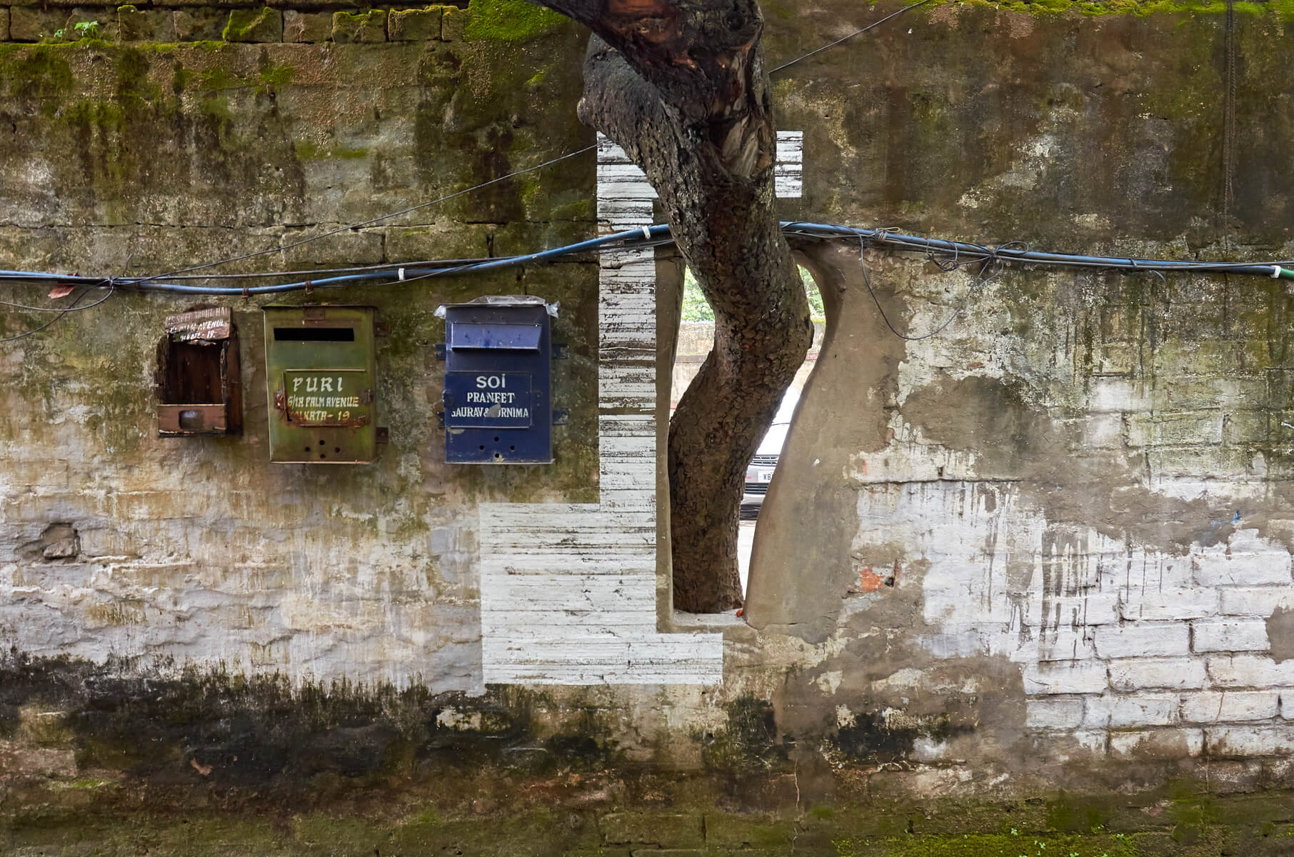 Chalk linedrawing on a wall with postboxes and a tree growing through it